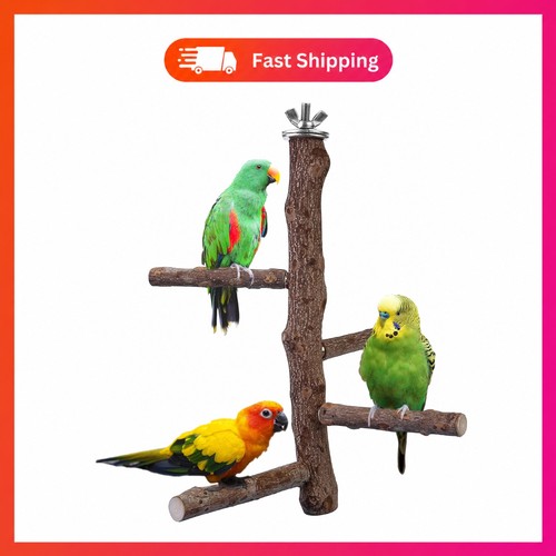 Natural wood bird - bird, stand