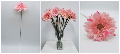Single stem gerbera flower - gerbera,