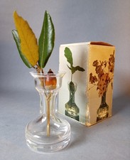 🌱❤ Rare Dartington