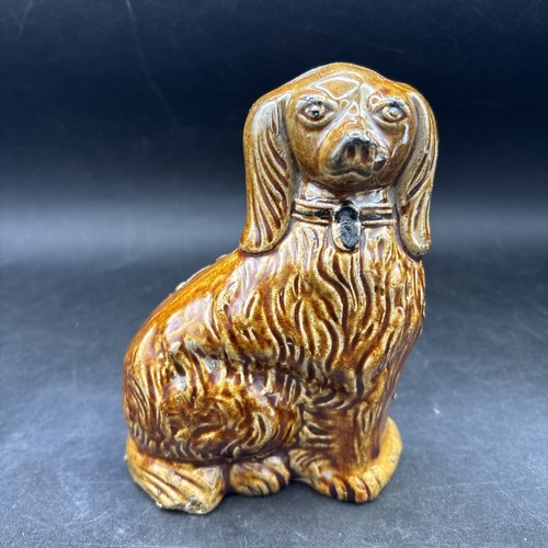 Staffordshire spaniel brown - staffordshire,