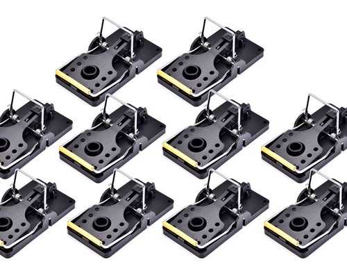 10x mouse traps - traps, snap