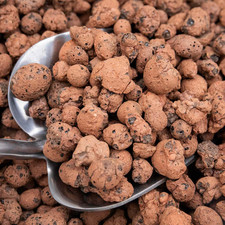 Hydrophonics clay growing - hydrophonics,