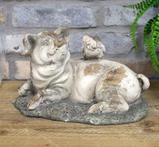 Percy the Laying Pig Garden