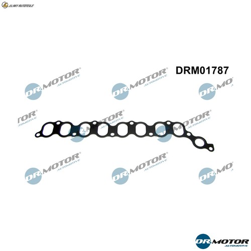 Intake manifold gasket - intake,