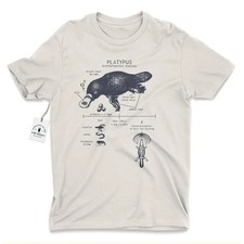 Platypus Anatomy Duck Billed