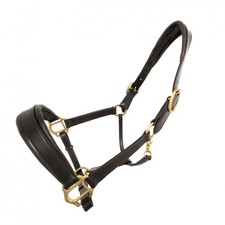 Coco Equestrian Brown