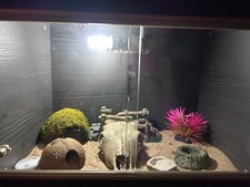 Reptile Tank (Visible Items Included + Decorations, Hides And Live Moss)