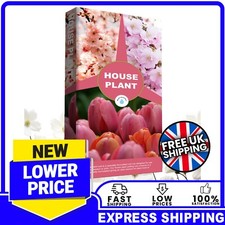 10L House Plant Compost With