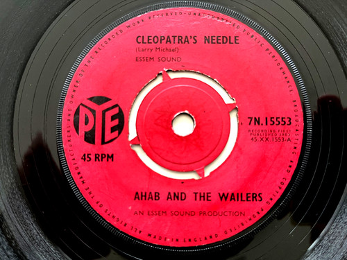 Ahab and the wailers - the,
