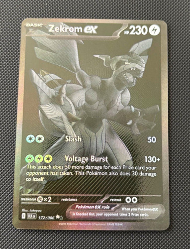 The pokémon company zekrom - company,