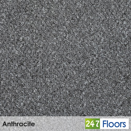 Anthracite bosley loop carpet - anthracite,