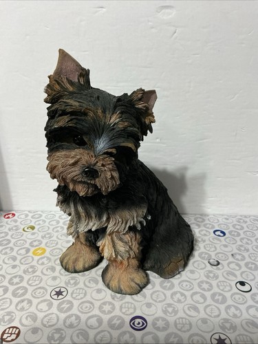 Danbury mint yorkie pup - danbury,