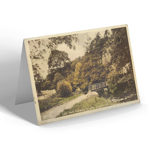 Notelet vintage wales cats - vintage,
