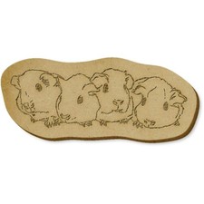 6 x 'Baby Guinea Pigs' MDF Craft Embellishments (EB00014164)
