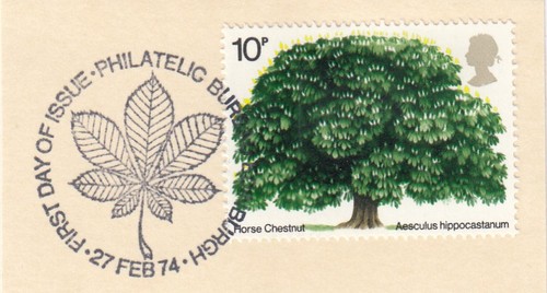 Horse chestnut tree used - chestnut, gb