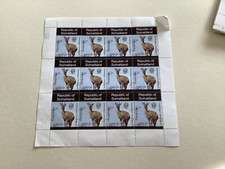 Klipspringer Antelope mint