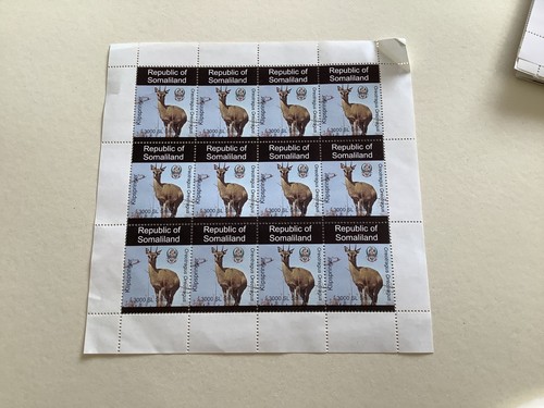 Klipspringer antelope mint - klipspringer,