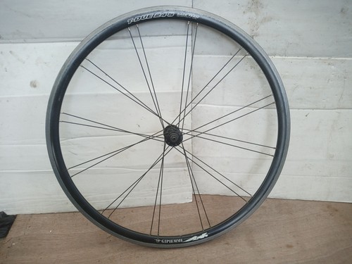 Gipiemme duo 24s road - t-duo,