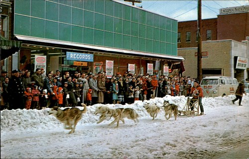 Laconia dog sled races - dog,