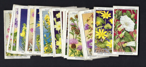 Wills wild flowers - wills,