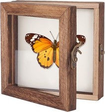 AHANDMAKER Insect Display Case