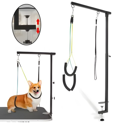 Dog grooming arm pet - dog,
