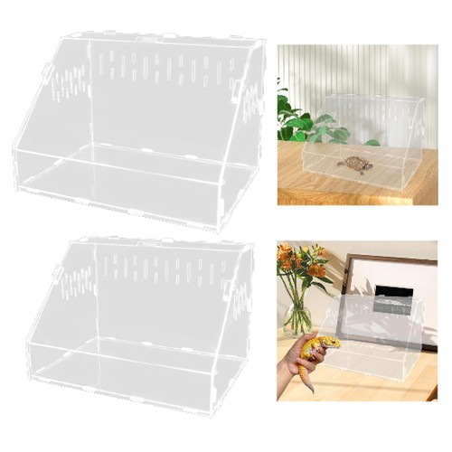 Reptile breeding box - breeding, snake