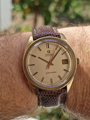 Premium omega seamster gold - premium,