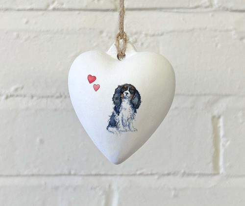 Cavalier king charles spaniel - charles,