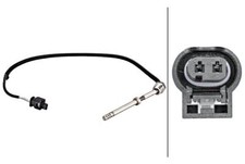 Exhaust Gas Temperature Sensor