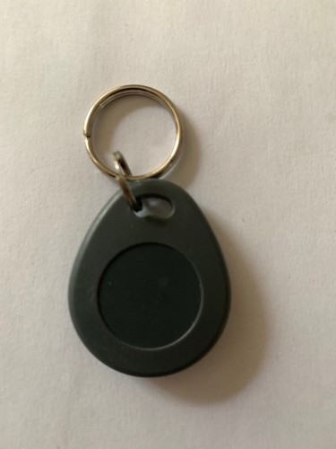 Alarm key ring - key-ring, tags
