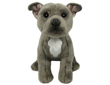 Staffordshire bull terrier - staffordshire,