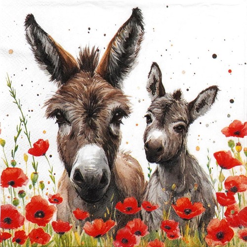 Donkey foal party napkins - &,