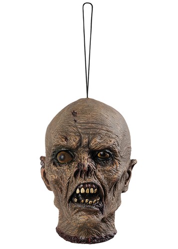 Halloween voodoo severed head - voodoo,