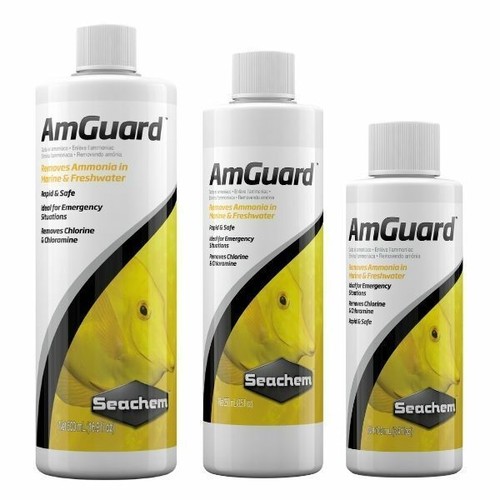 Seachem amguard aquarium - amguard,