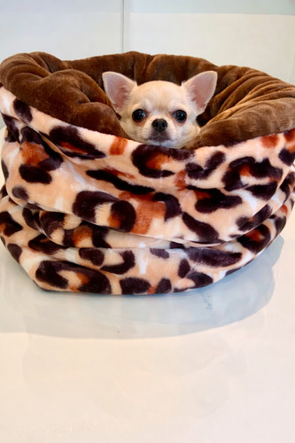 Dog cat bed snuggle - dog/cat, sack