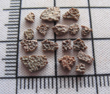 Cretaceous Pyroraptor raptor dinosaur eggshell fossil in display slide 1 per bid