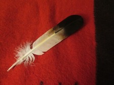 Feather Hand painted Golden