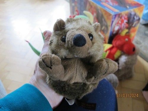 Baby soft plush hedgehog - ,