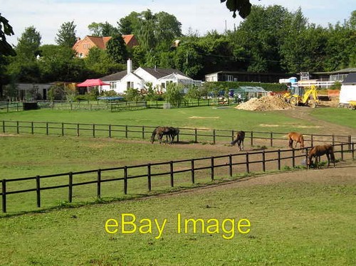Photo 6x4 grazing land - 6x4,