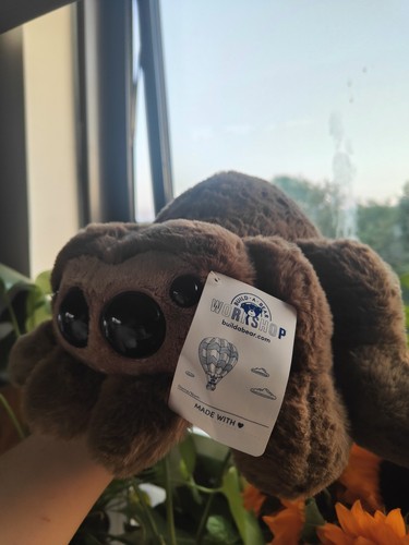 Bnwt build bear 2026 - ,