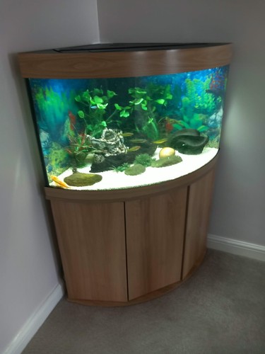 Juwel trigon 190l corner - juwel,
