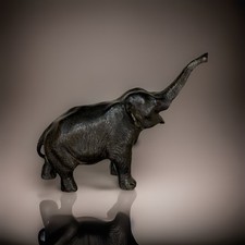 Genryusai Seiya, Japanese