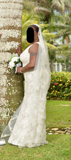 Wedding Dress and Vail