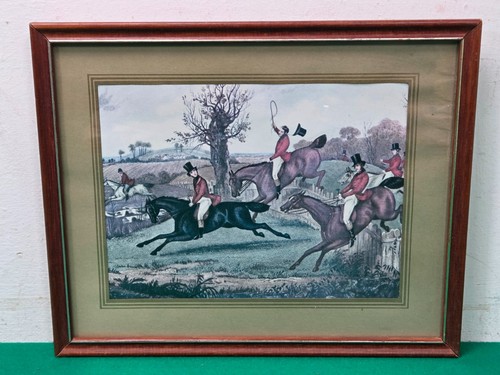 Small framed fox - small, hunting