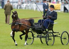 Photo 6x4 The South of England