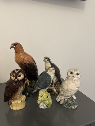 Whyte mckay birds - of, prey