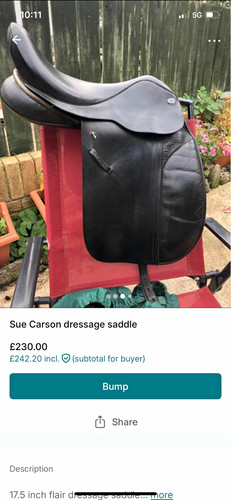 Sue carson flair dressage - carson,