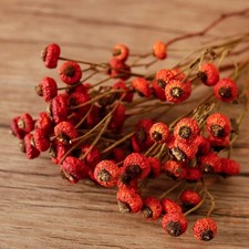 Dried Rose Hips, Natural Red
