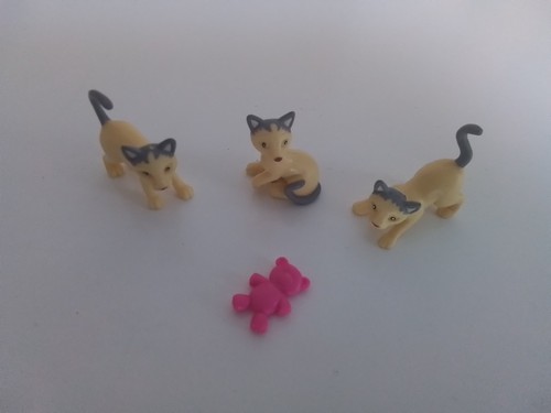 Vintage animal hospital rspca - animal,